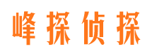 大柴旦找人公司